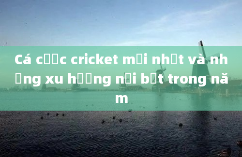 Cá cược cricket mới nhất và những xu hướng nổi bật trong năm