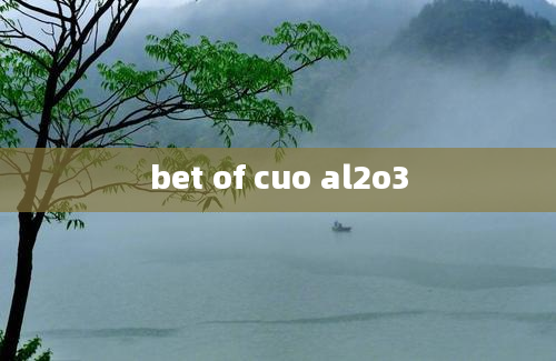 bet of cuo al2o3