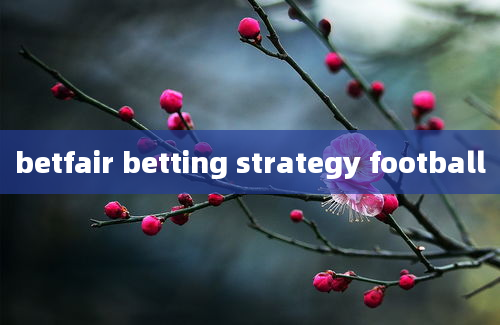 betfair betting strategy football