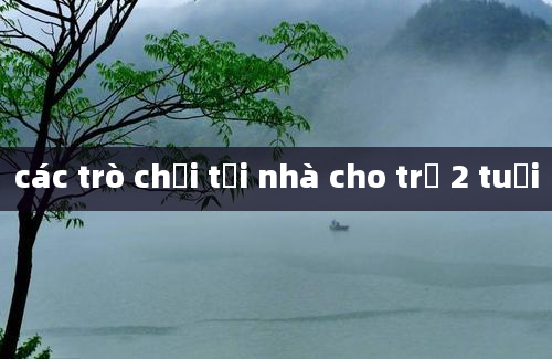 các trò chơi tại nhà cho trẻ 2 tuổi