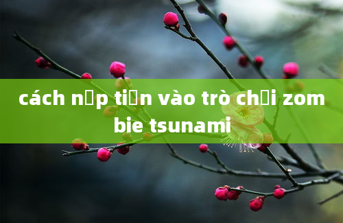 cách nạp tiền vào trò chơi zombie tsunami