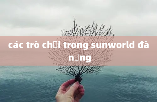 các trò chơi trong sunworld đà nẵng