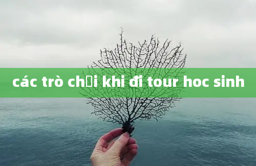 các trò chơi khi đi tour hoc sinh