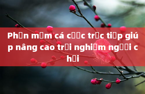 Phần mềm cá cược trực tiếp giúp nâng cao trải nghiệm người chơi