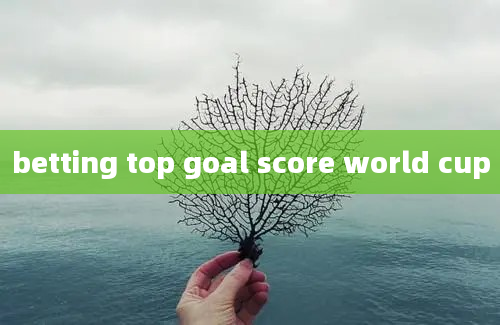 betting top goal score world cup