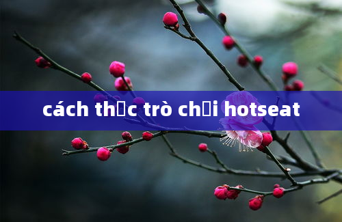 cách thức trò chơi hotseat