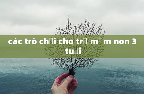 các trò chơi cho trẻ mầm non 3 tuổi