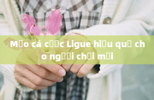 Mẹo cá cược Ligue hiệu quả cho người chơi mới