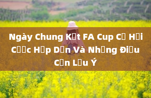 Ngày Chung Kết FA Cup Cơ Hội Cược Hấp Dẫn Và Những Điều Cần Lưu Ý