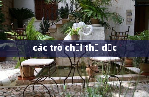 các trò chơi thể dục