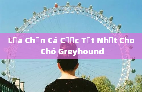 Lựa Chọn Cá Cược Tốt Nhất Cho Chó Greyhound