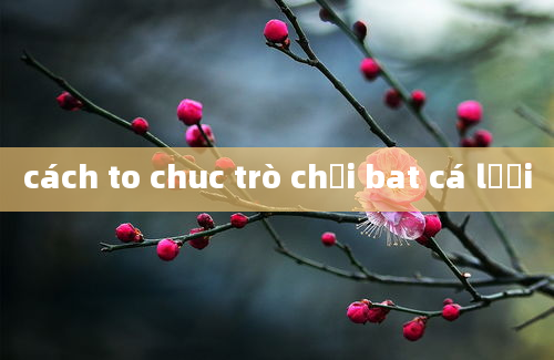 cách to chuc trò chơi bat cá lưới