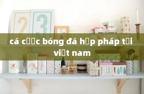 cá cược bóng đá hợp pháp tại việt nam