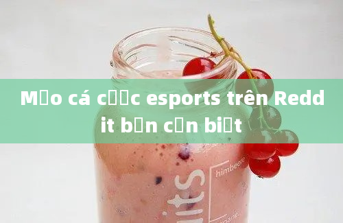 Mẹo cá cược esports trên Reddit bạn cần biết