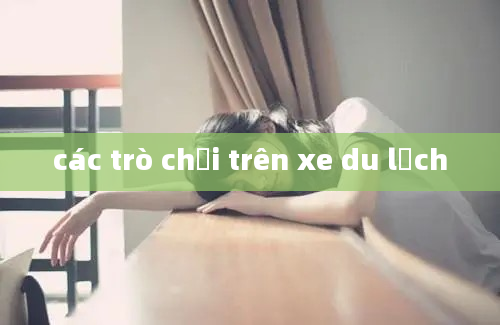 các trò chơi trên xe du lịch