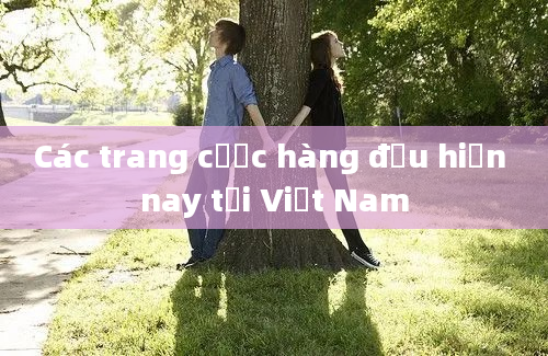 Các trang cược hàng đầu hiện nay tại Việt Nam