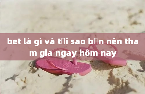 bet là gì và tại sao bạn nên tham gia ngay hôm nay