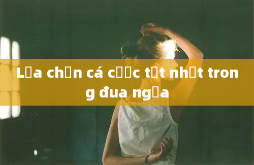 Lựa chọn cá cược tốt nhất trong đua ngựa