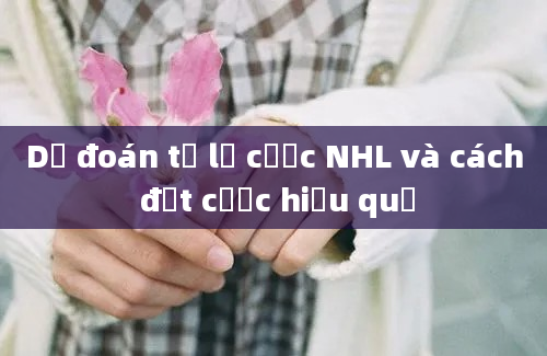 Dự đoán tỷ lệ cược NHL và cách đặt cược hiệu quả