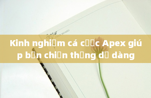 Kinh nghiệm cá cược Apex giúp bạn chiến thắng dễ dàng