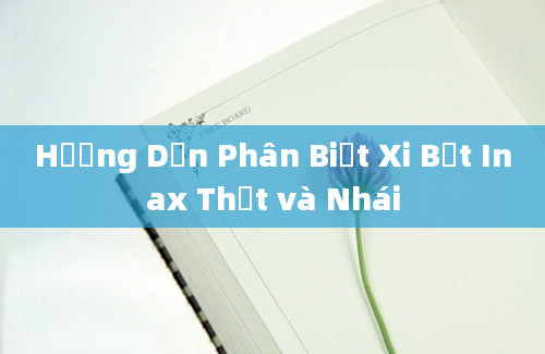 Hướng Dẫn Phân Biệt Xi Bệt Inax Thật và Nhái