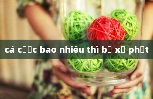 cá cược bao nhiêu thì bị xử phạt