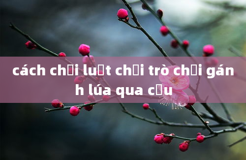 cách chơi luật chơi trò chơi gánh lúa qua cầu