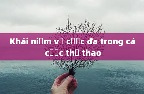 Khái niệm về cược đa trong cá cược thể thao