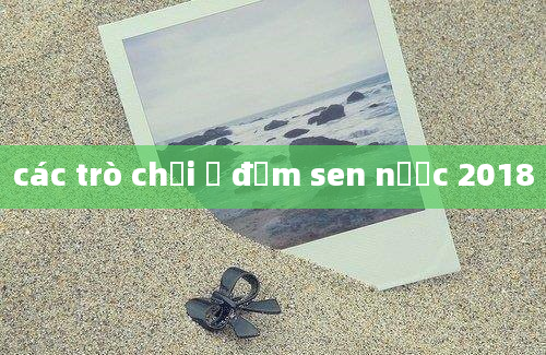 các trò chơi ở đầm sen nước 2018