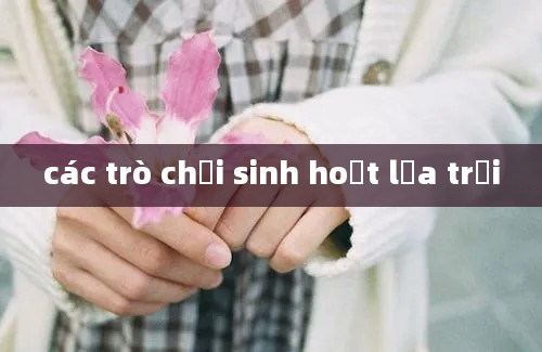 các trò chơi sinh hoạt lửa trại