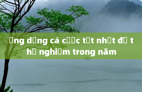 Ứng dụng cá cược tốt nhất để thử nghiệm trong năm