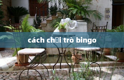 cách chơi trò bingo