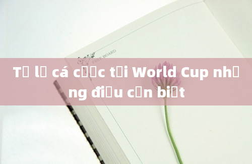 Tỷ lệ cá cược tại World Cup những điều cần biết