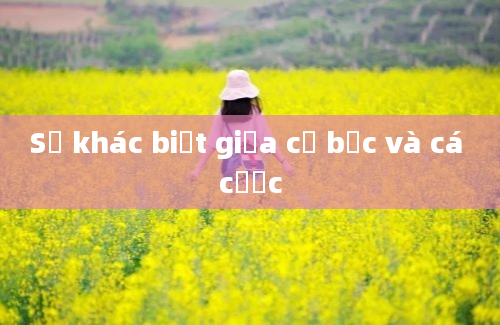 Sự khác biệt giữa cờ bạc và cá cược