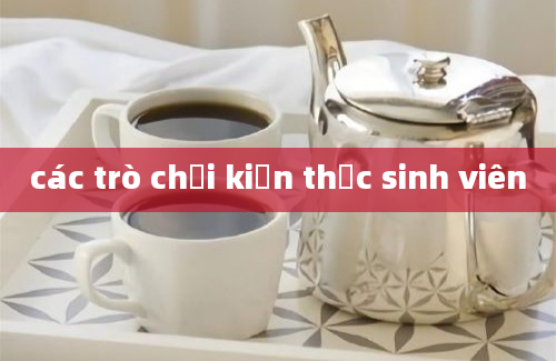 các trò chơi kiến thức sinh viên