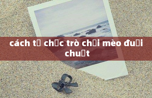 cách tổ chức trò chơi mèo đuổi chuột