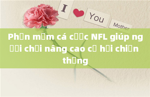 Phần mềm cá cược NFL giúp người chơi nâng cao cơ hội chiến thắng