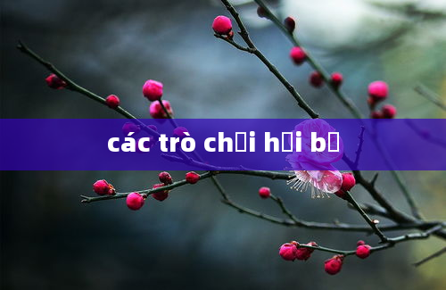 các trò chơi hồi bế