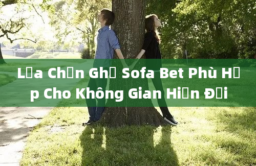 Lựa Chọn Ghế Sofa Bet Phù Hợp Cho Không Gian Hiện Đại