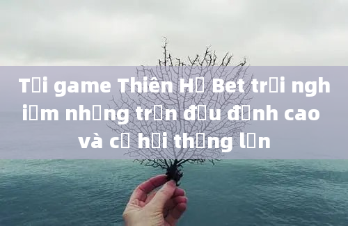 Tải game Thiên Hạ Bet trải nghiệm những trận đấu đỉnh cao và cơ hội thắng lớn