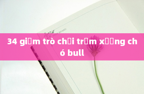 34 giảm trò chơi trộm xương chó bull