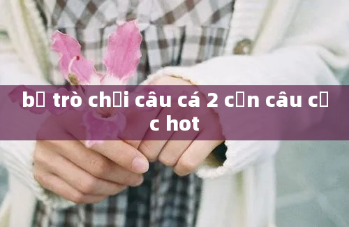 bộ trò chơi câu cá 2 cần câu cực hot