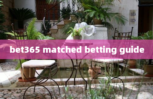 bet365 matched betting guide