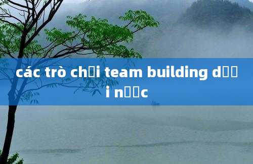 các trò chơi team building dưới nước