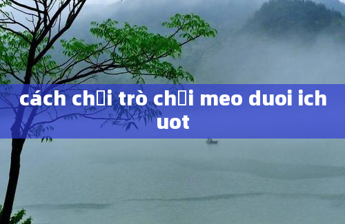 cách chơi trò chơi meo duoi ichuot