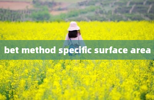 bet method specific surface area