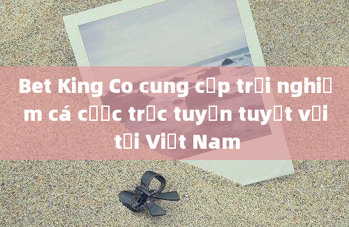 Bet King Co cung cấp trải nghiệm cá cược trực tuyến tuyệt vời tại Việt Nam