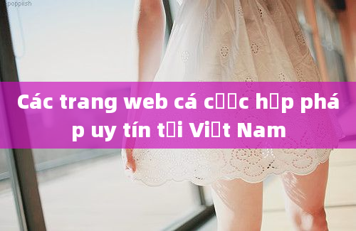 Các trang web cá cược hợp pháp uy tín tại Việt Nam