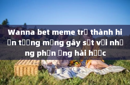 Wanna bet meme trở thành hiện tượng mạng gây sốt với những phản ứng hài hước