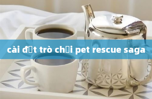 cài đặt trò chơi pet rescue saga